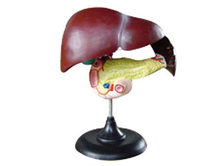SD-093 33216ʮ֬cKģ